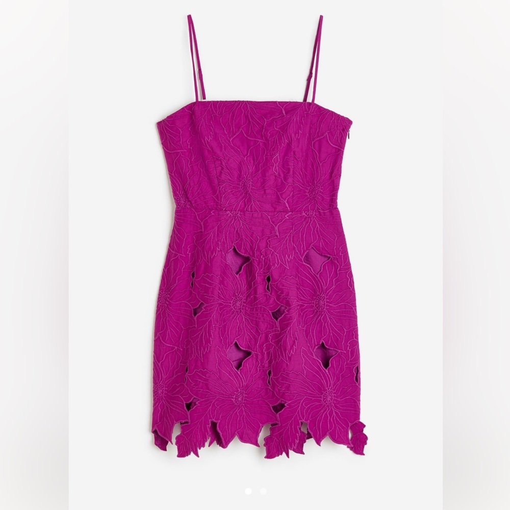 H&M Embroidered Dress